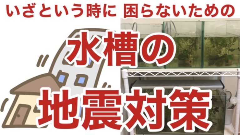 対策 水槽 地震 Shirokuma55: 水槽の地震対策